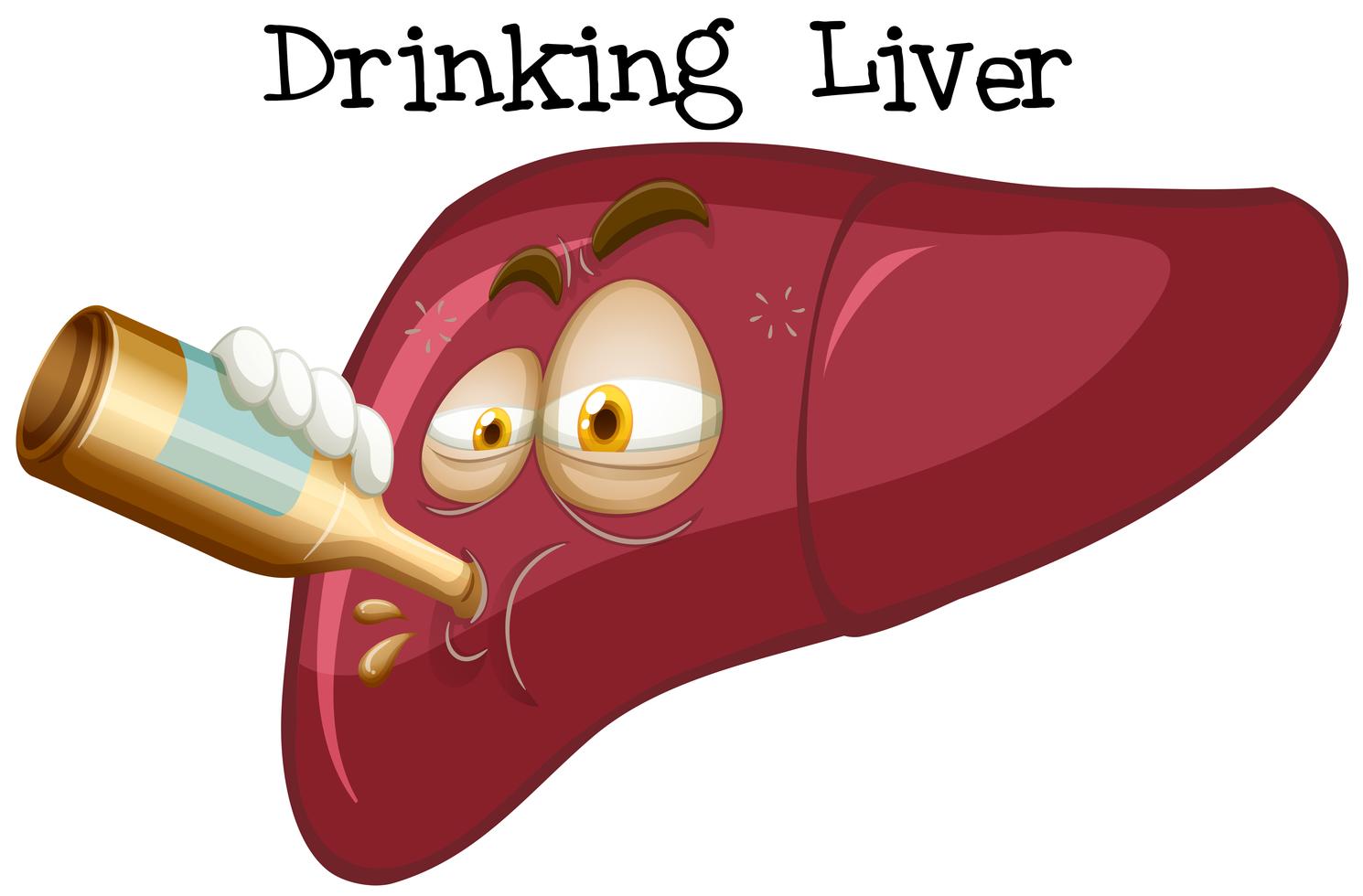 An Effect of Drinking Liver 295714 Vector Art at Vecteezy