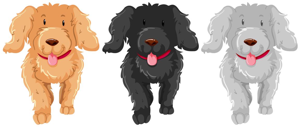 Three poodle dog with happy face - Download Free Vector Art, Stock Graphics & Images