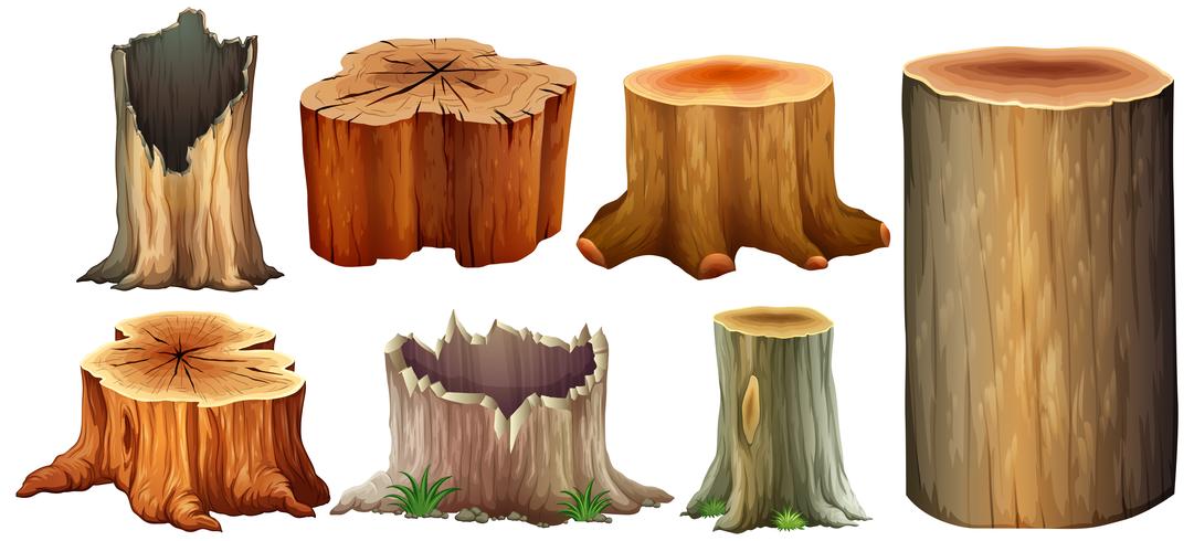 Different type of tree stump vector