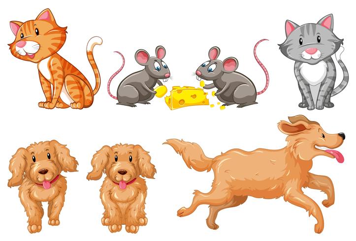 Set of dogs and cats vector