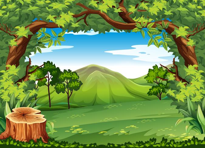 Mountain scene with green trees vector