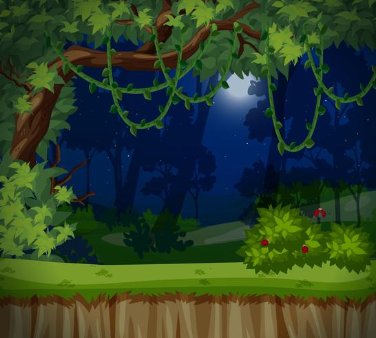 A dark forest at night vector