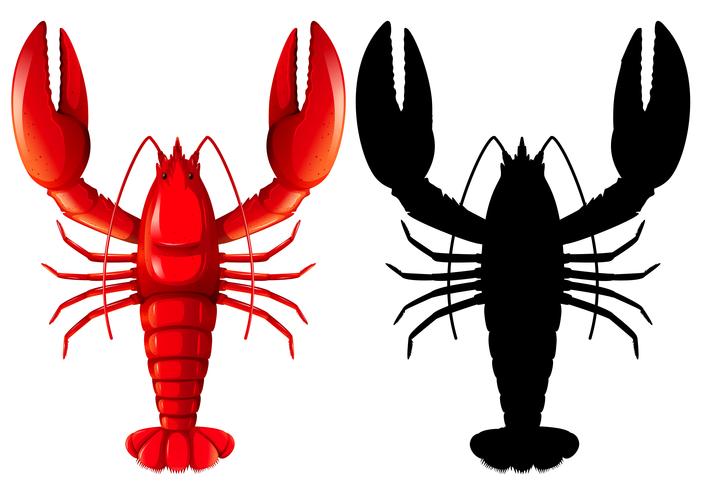 Set of lobster on white background vector