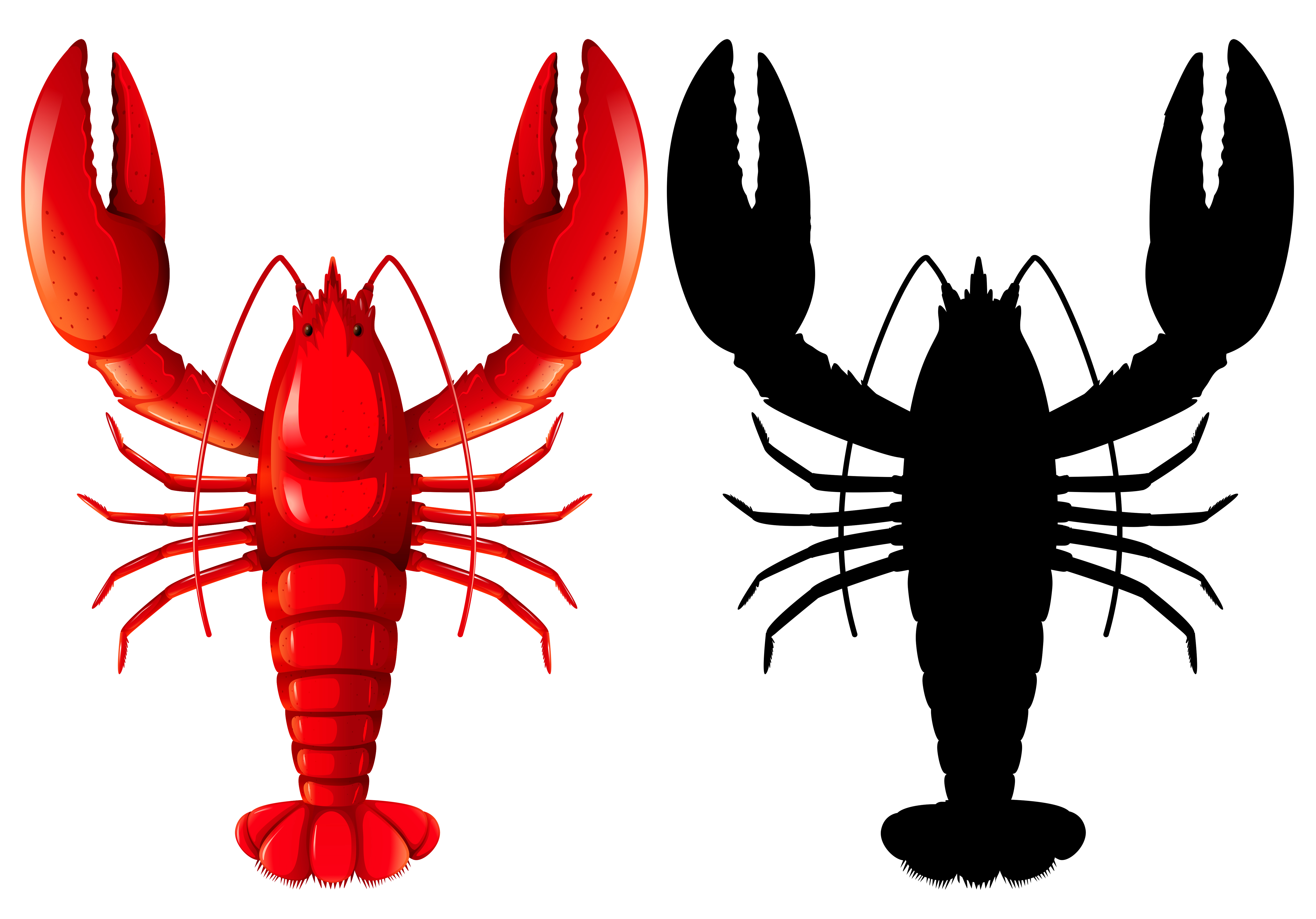 Set of lobster on white background 295809 Vector Art at Vecteezy