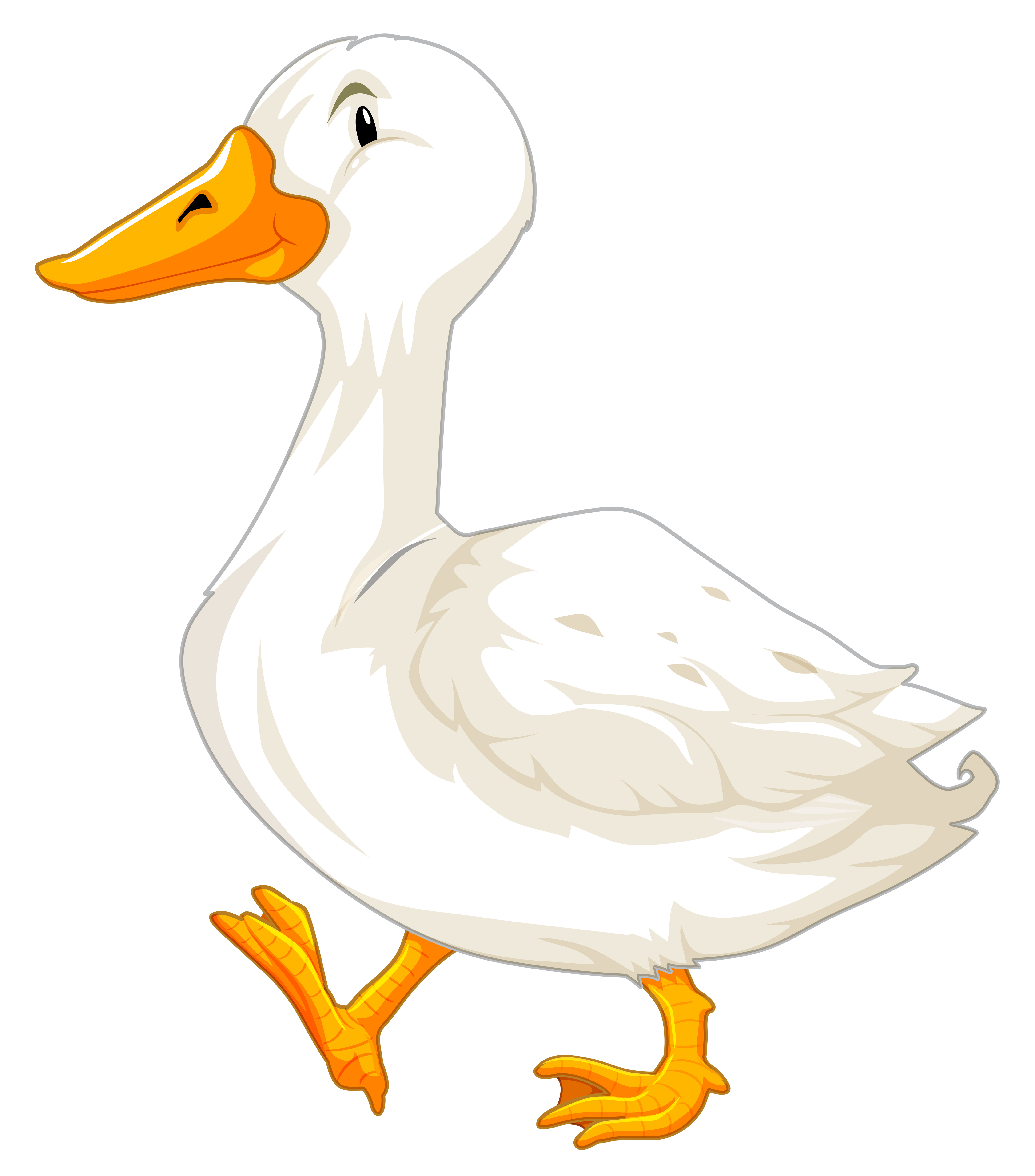 Duck Walk Vector Art, Icons, and Graphics for Free Download