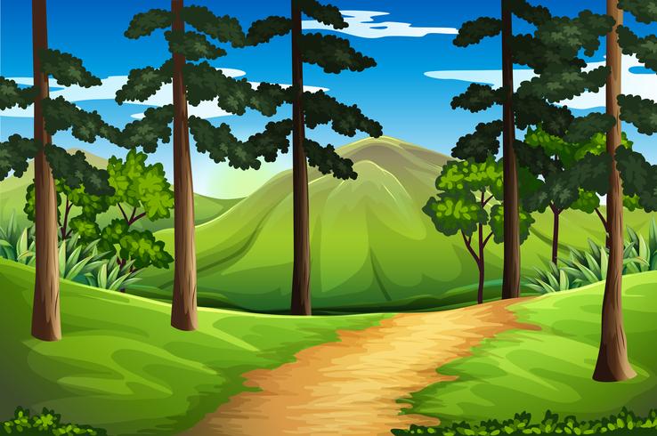 Scene with tall trees and mountain vector