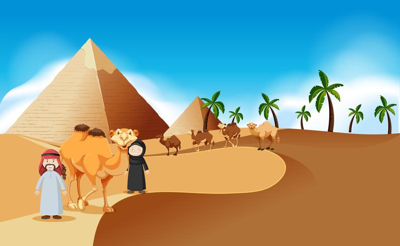 Escena del desierto con pirámides y camellos. vector