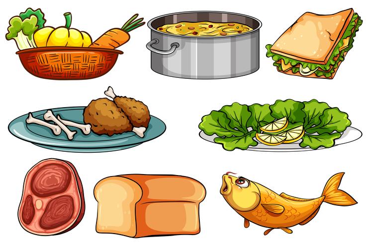 Diferentes tipos de comida y merienda. vector