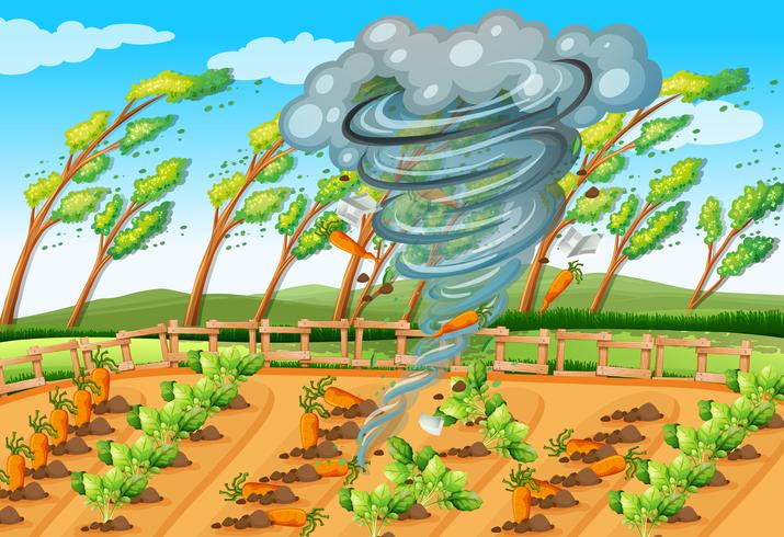 Tornado en escena de la granja vector