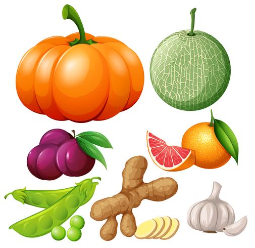 Fresh fruits and vegetables vector