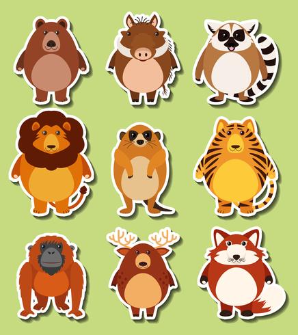 Sticker design with wild animals vector