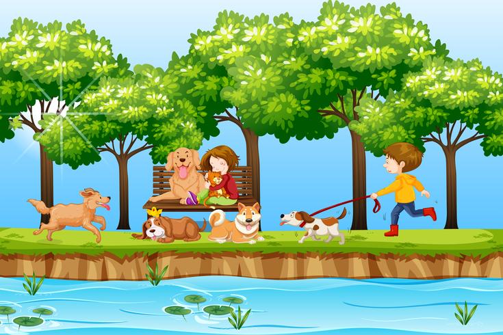 Children and dogs in park - Download Free Vector Art, Stock Graphics & Images