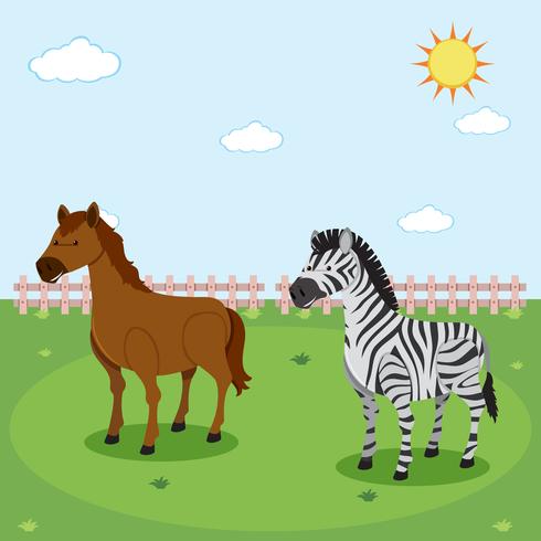 Zebra and horse in nature vector