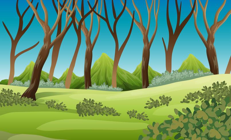 Escena de la naturaleza con arboles y montañas. vector