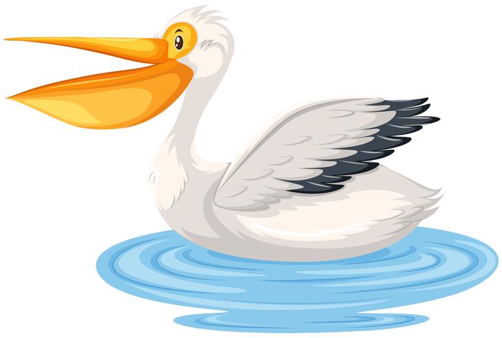 A pelican character in water vector