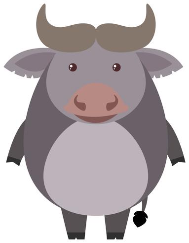 Búfalo lindo en el fondo blanco vector