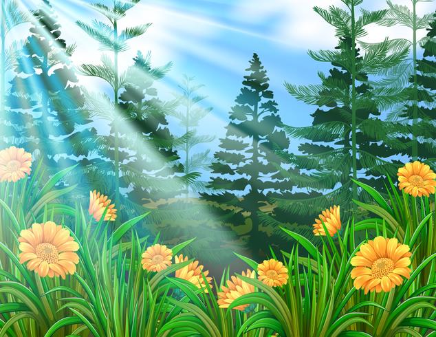 Sunshine Over the Flower Forest vector