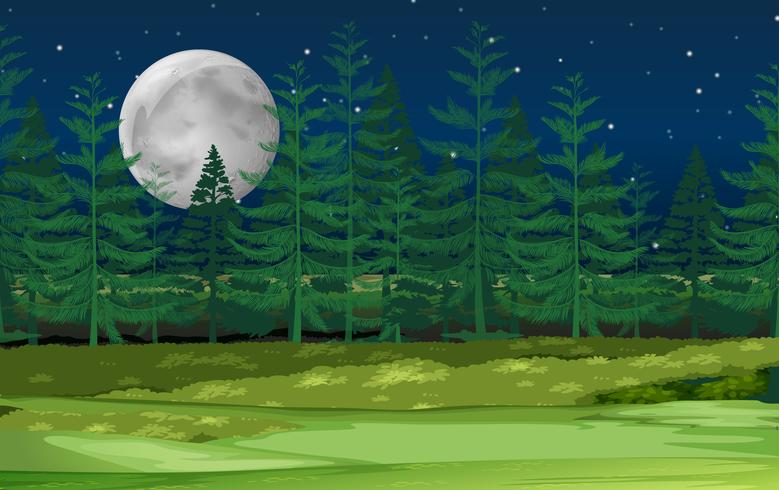 Un paisaje de bosque nocturno. vector