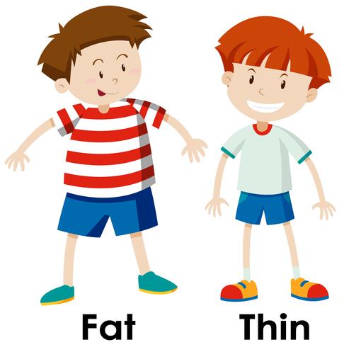 Differences between fat and thing  vector