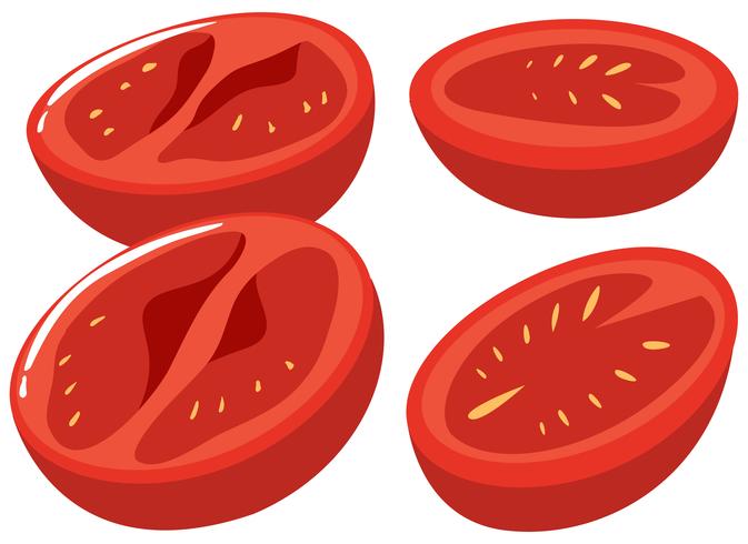 Slices of fresh tomatoes vector