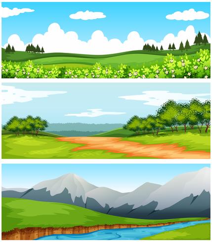 Scenes with trees and fields vector