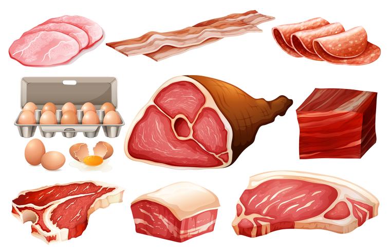 Fresh ingredient for meat products vector