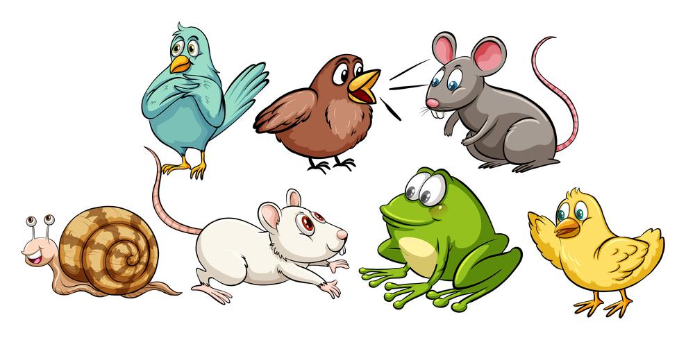 Animals vector