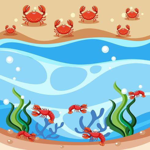 Escena de cangrejos y camarones vector