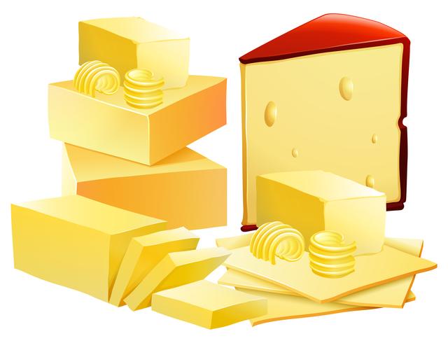 A Set of Cheese on White Background vector