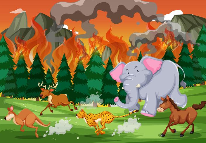 Los animales salvajes huyen de los incendios forestales. vector