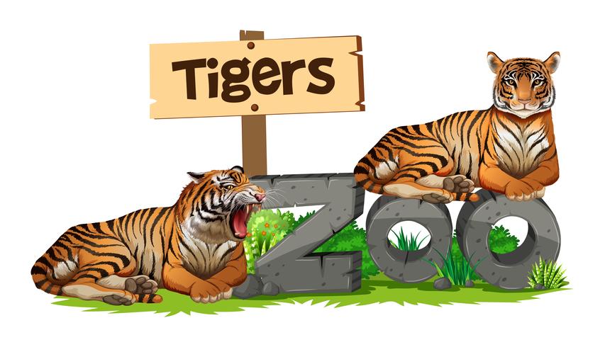 Two tigers on zoo sign vector