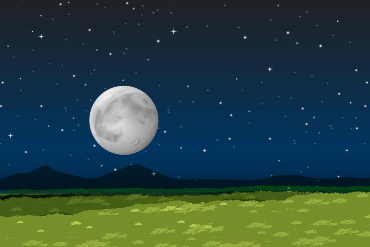 Paisaje de la naturaleza por la noche vector