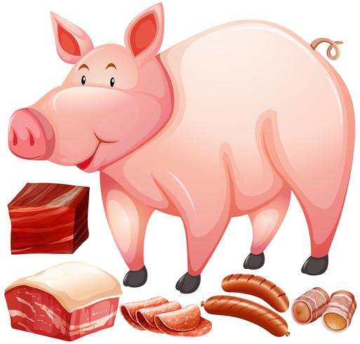 Pig and meat product vector