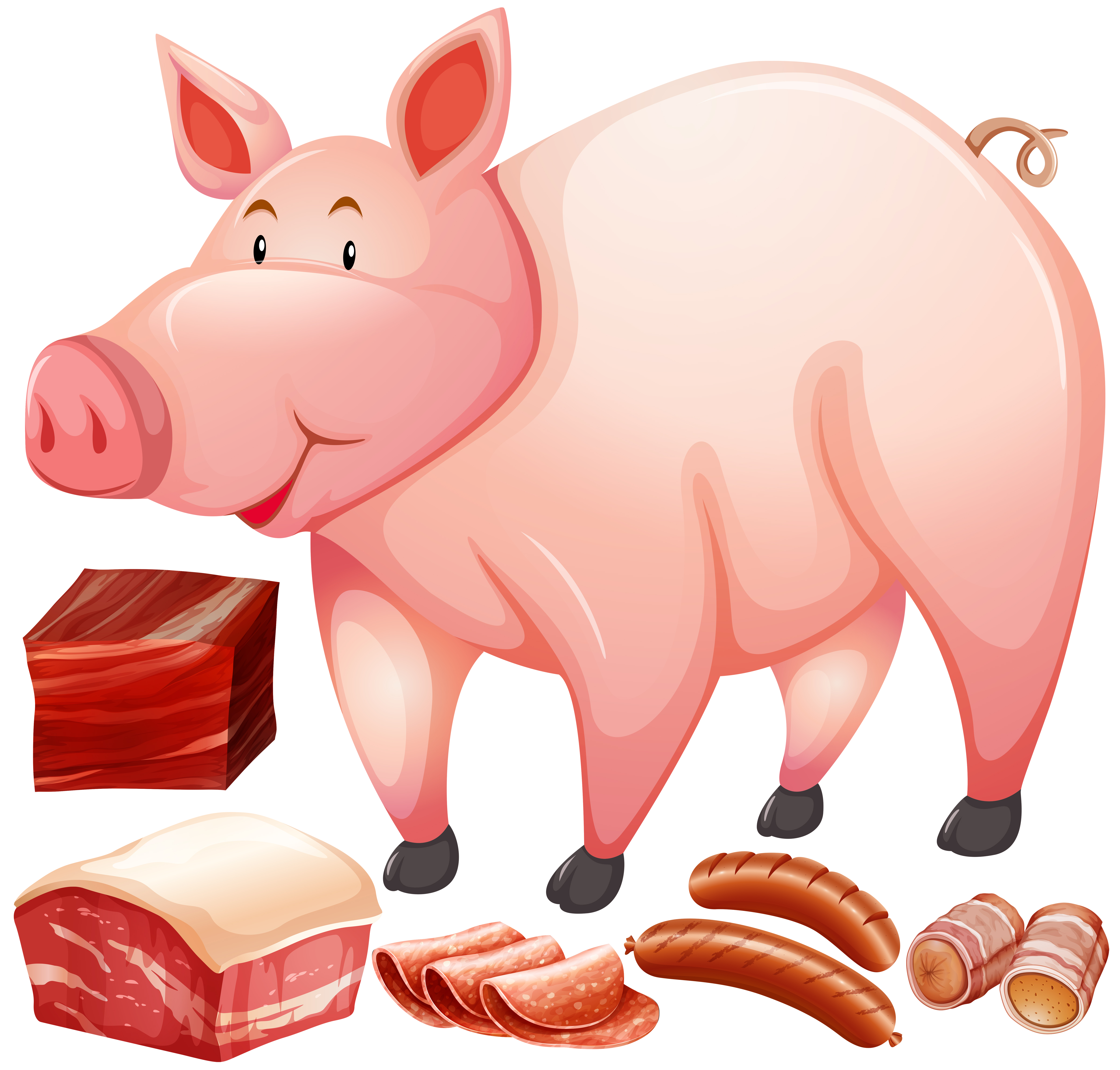 Pig Meat Free Vector Art (237 Free Downloads)