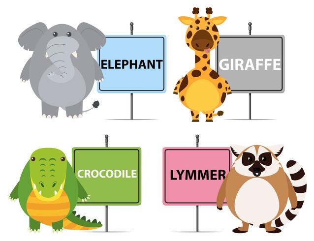 Four types of wild animals with names 296463 Vector Art at Vecteezy