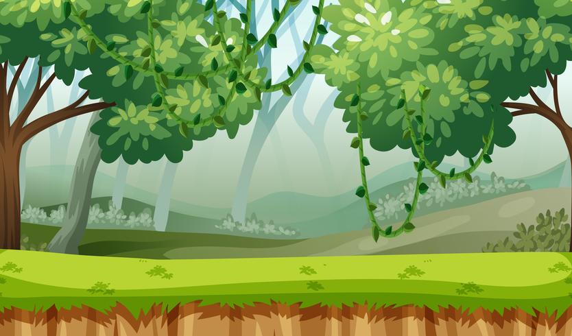 green woods landscape background vector