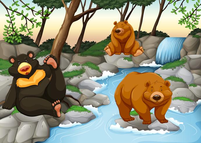 Tres osos viviendo junto a la cascada. vector