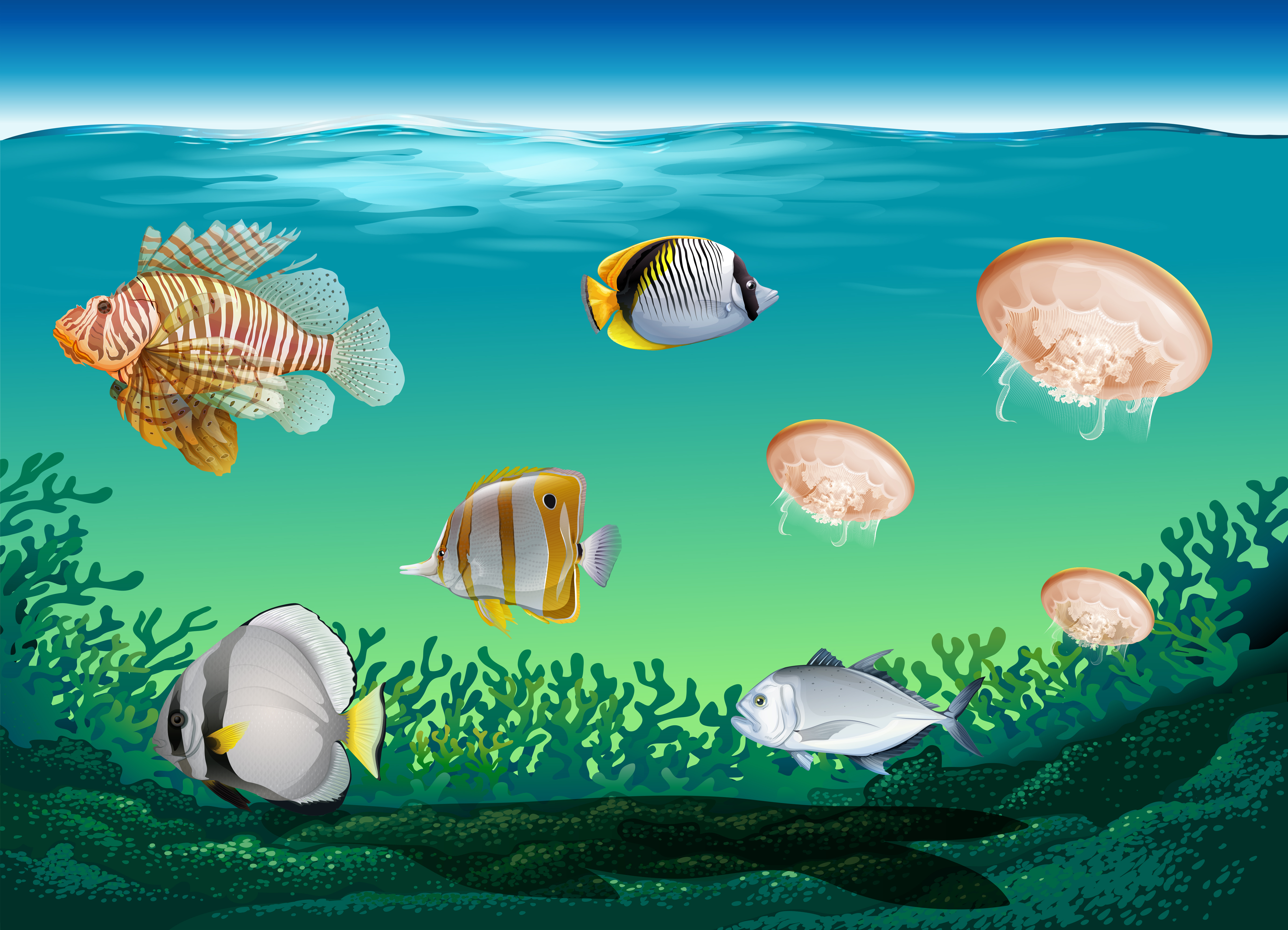 Download Many fish swimming under the ocean 296521 Vector Art at Vecteezy