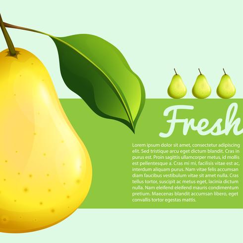 Poster design with fresh pear vector