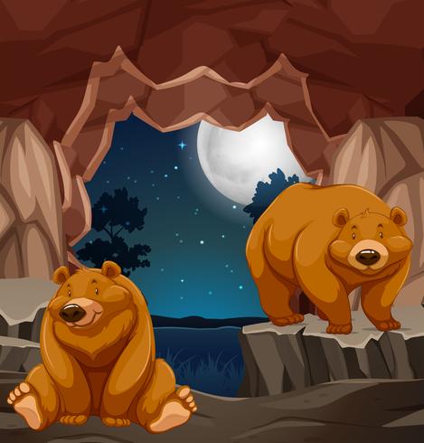 Two brown bears in cave vector