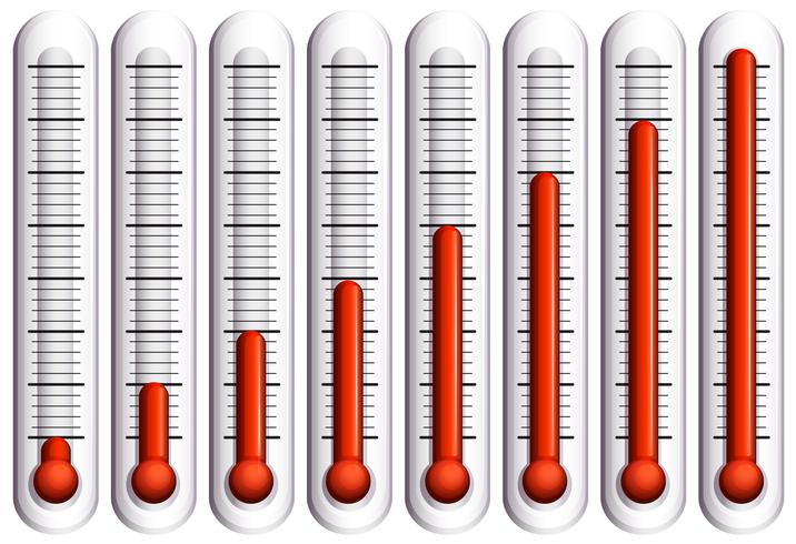 Set of thermometers on white vector