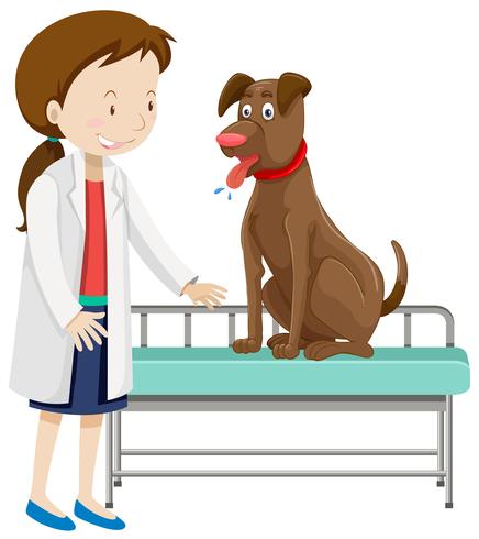 Un veterinario y perro vector