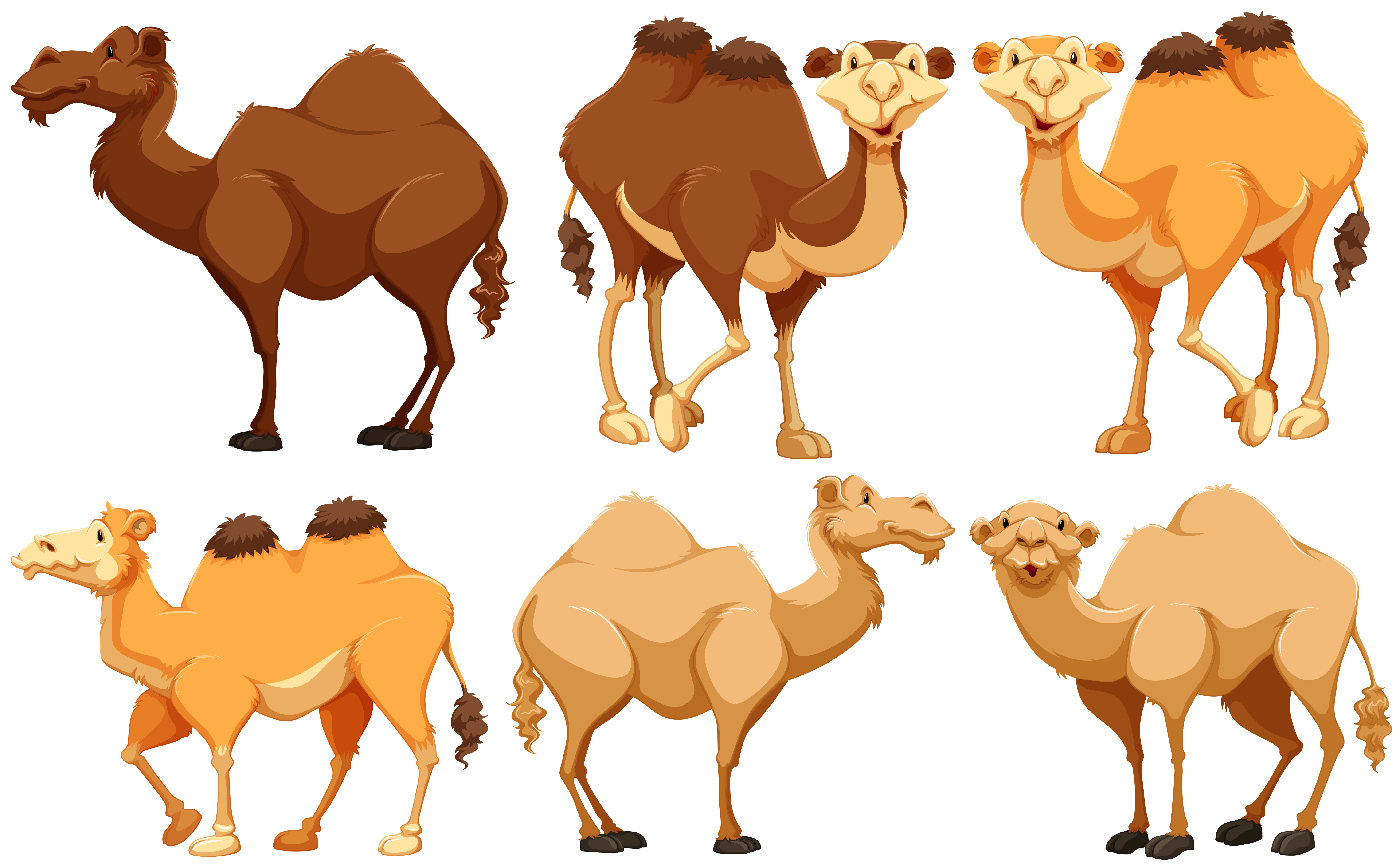 Camel Clip Art Cute