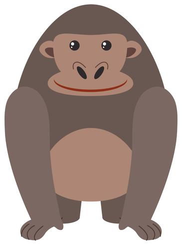 Cute gorilla on white background vector