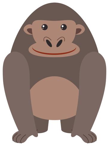 Cute gorilla on white background vector