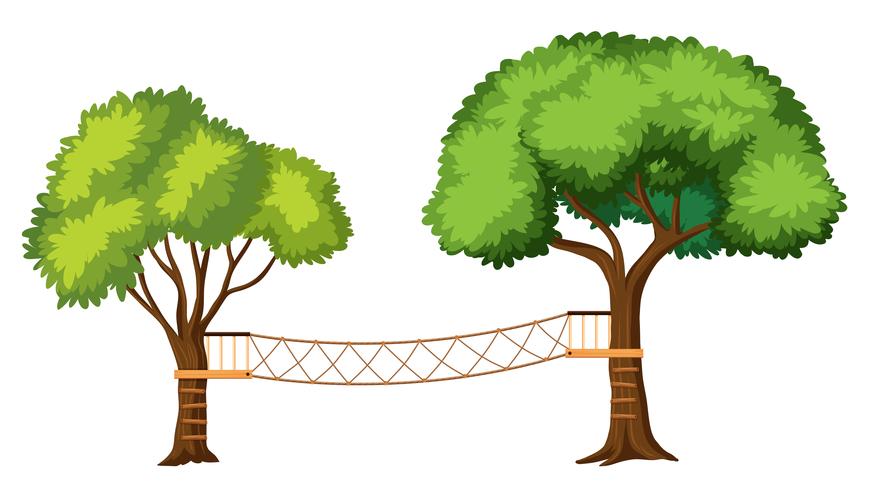 Isolated tree adventure activities  vector