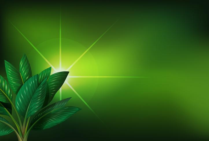 Un fondo verde con una planta. vector