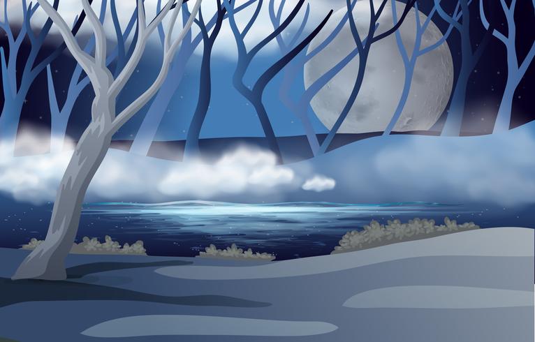 Forest scene with fullmoon and mist vector