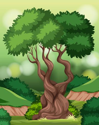 Un arbol en la escena de la naturaleza. vector