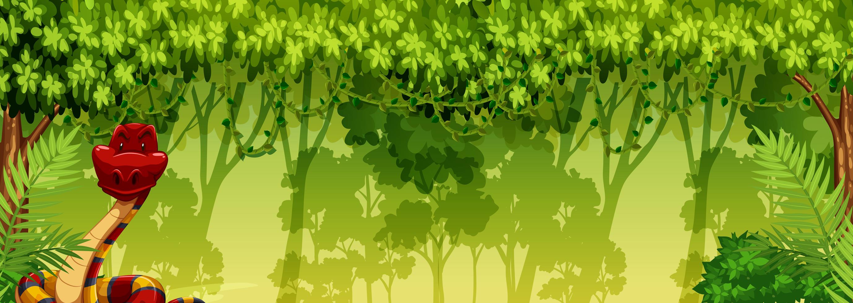 A snake in the jungle 296764 Vector Art at Vecteezy